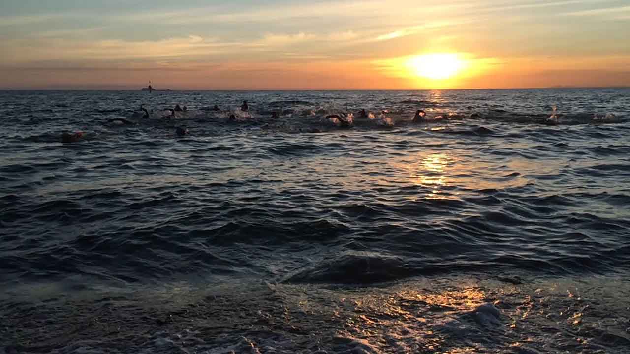 Open-water swimmers moving through the sea beneath an orange sunset