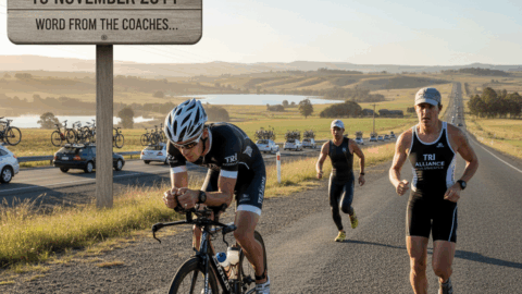 Weekly Transition 10 November 2011