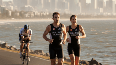 Weekly Transition 16 Dec 2011