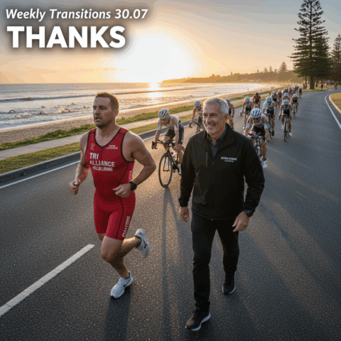 Weekly Transitions 30.07