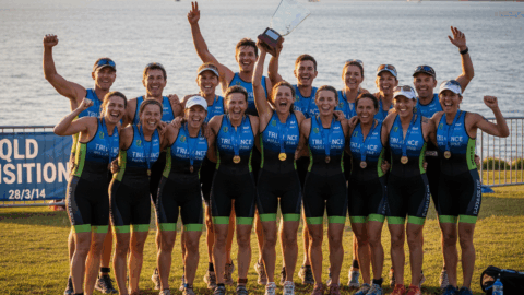 QLD TRANSITIONS 28/3/14