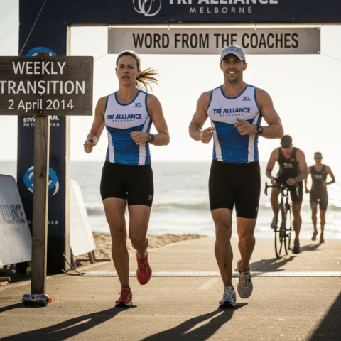 Weekly Transition 2 April 2014