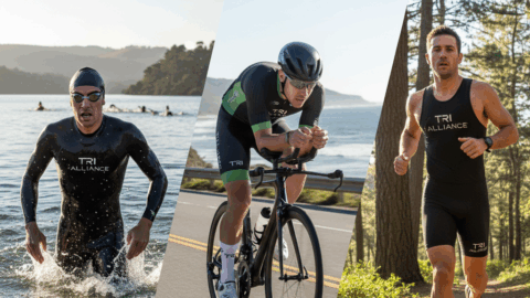 Weekly Newsletter 15th of September 2015