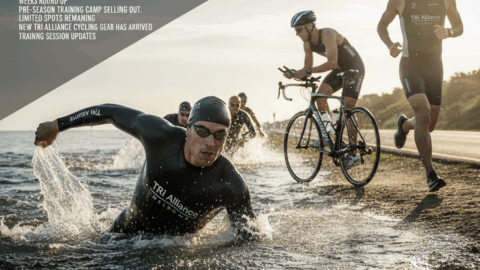 Weekly Newsletter 1st of September 2015