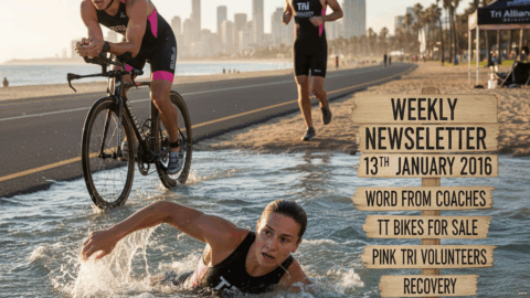 Weekly Newsletter 13th January 2016