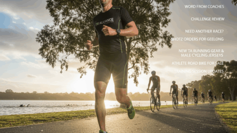 Weekly Newsletter 2nd February 2016