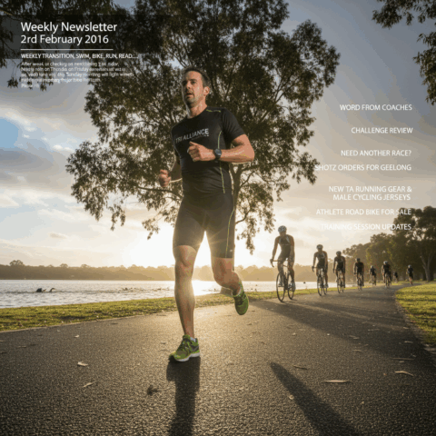 Weekly Newsletter 2nd February 2016