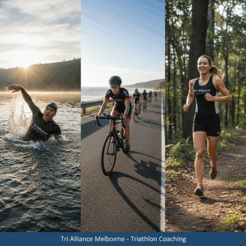 Weekly Newsletter 11th April 2016