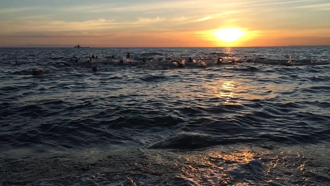 Triathlon Training Tri Alliance