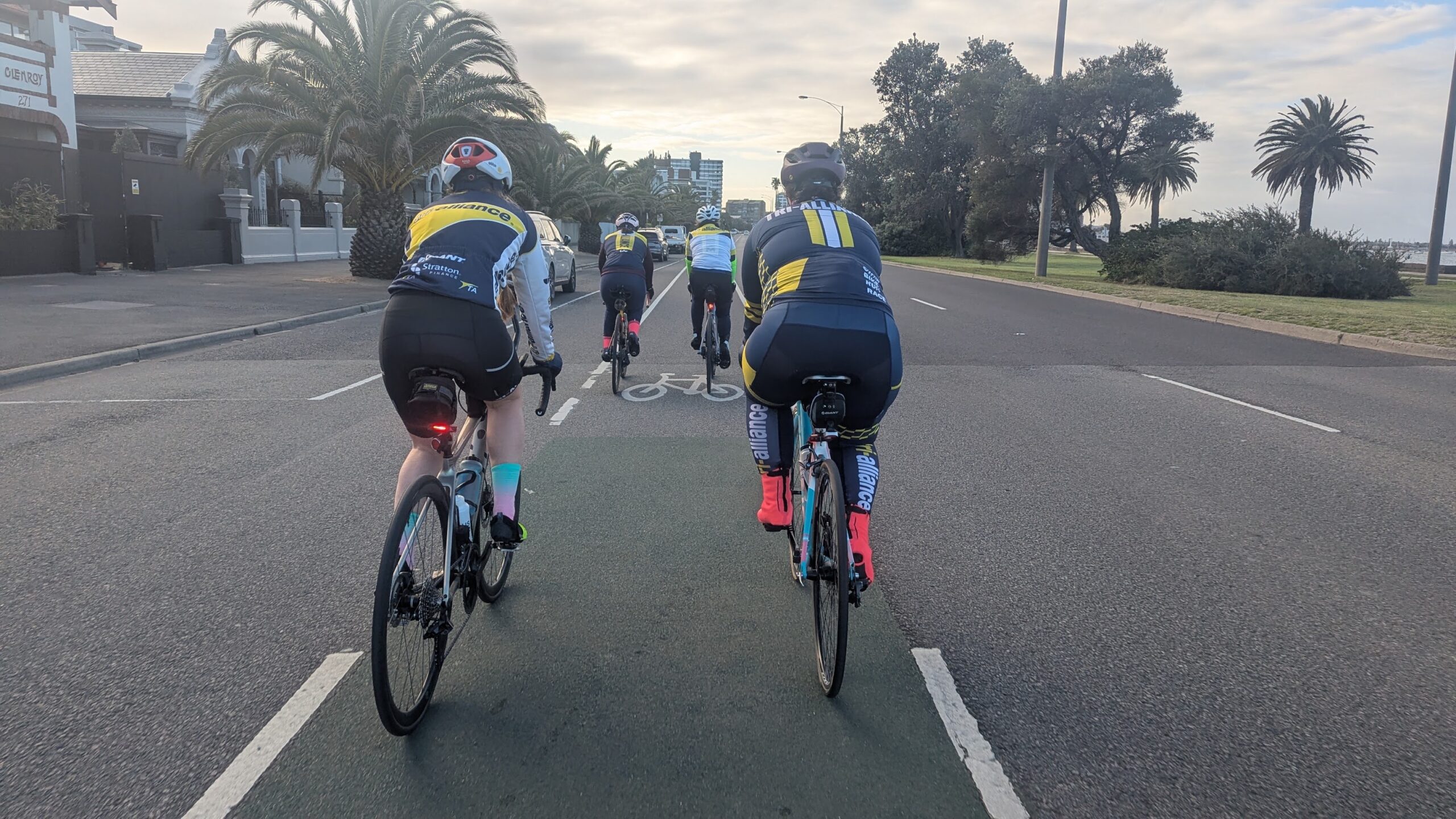 Tri Alliance squad riding together in bold navy and yellow team kit on Beach Road